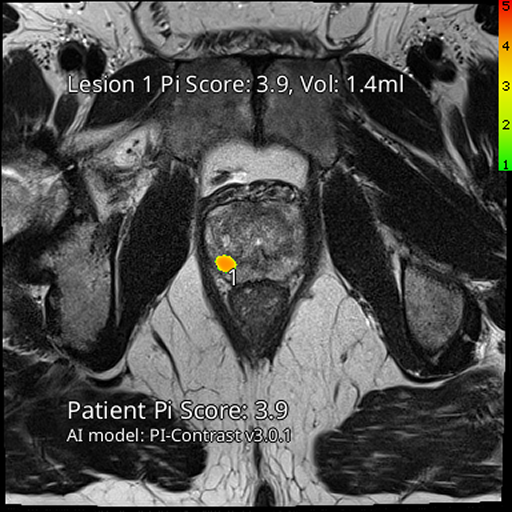 lucida-product-image