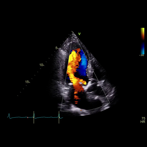 us2.ai-product-image